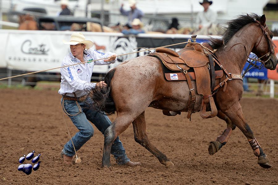 Scott Snedecor | CSI Saddle Pads are ridden by top Rodeo Athletes
