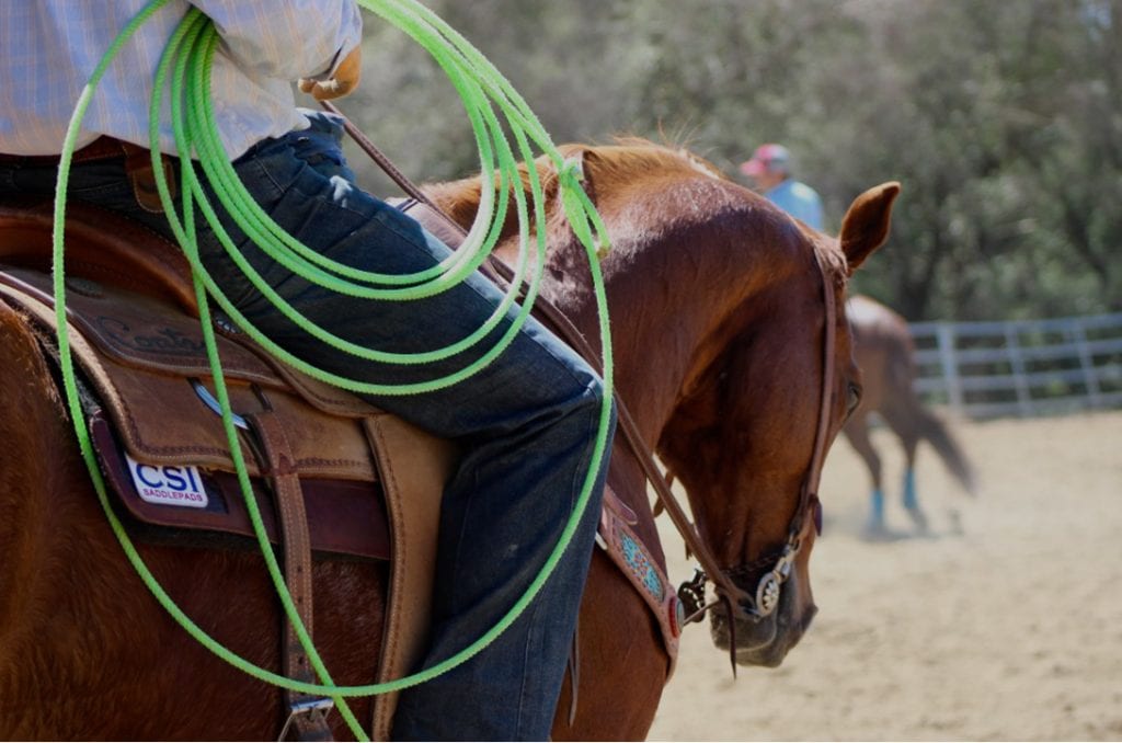 CSI Saddle Pads is committed to educating horse owners on better saddle fit.